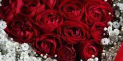 تزیین گل طبیعی و مصنوعی با پول برای هدیه + تزیین گل رز قرمز