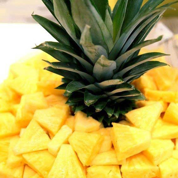 تزیین آناناس ساده تزیین آناناس برای بیمار تزیین آناناس شب یلدا فیلم تزیین آناناس تزیین میوه تزیین آناناس با گل تزیین آناناس درسته تزیین آناناس به شکل طوطی