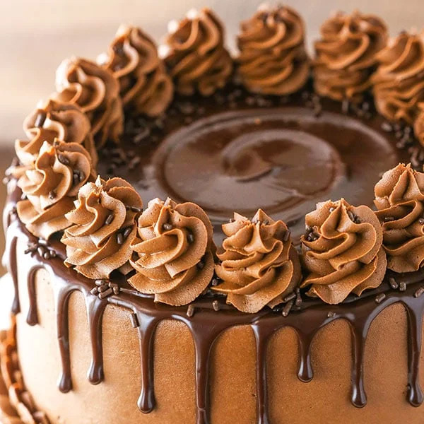 تزیین کیک شکلاتی خیس تزیین کیک شکلاتی خانگی با خامه تزیین کیک شکلاتی با اسمارتیز تزیین کیک شکلاتی با گاناش تزیین کیک شکلاتی مستطیل تزیین کیک شکلاتی با سس شکلات تزیین کیک شکلاتی جدید