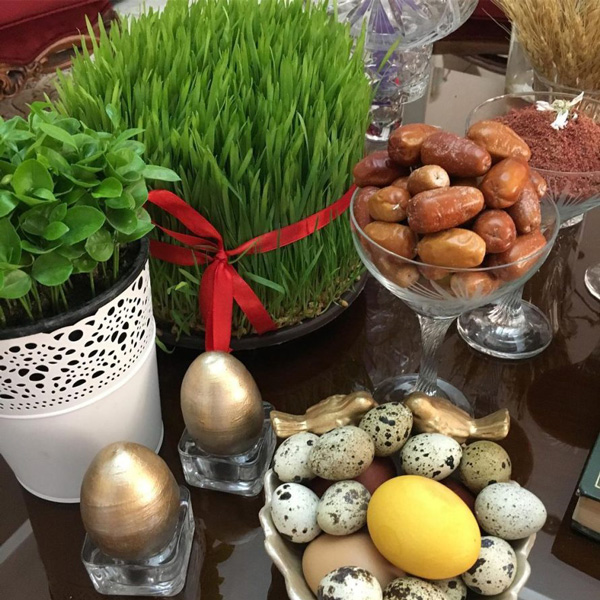 انواع سبزه عید با بذرهای مختلف سبزه برنج برای عید کاشت انواع سبزه سبزه ماش طرز تهیه سبزه عید فوری سبزه عید با خاکشیر سبزه عدس