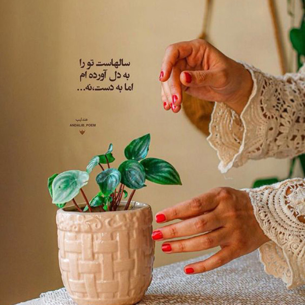عکس خاص و زیبا عکس پروفایل جدید عکس پروفایل جدید امسال عکس پروفایل جدید ۱۴۰۰ عکسهای کمیاب پروفایل عکس پروفایل ساده عکس پروفایل شیک