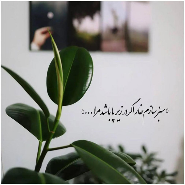 عکس نوشته خاص عکس نوشته اخلاقی عکس نوشته های زیبا و جدید عکس نوشته های پر مفهوم کوتاه عکس نوشته های زیبا با کیفیت عالی عکس نوشته زیبا عکس نوشته زیبا برای وضعیت 