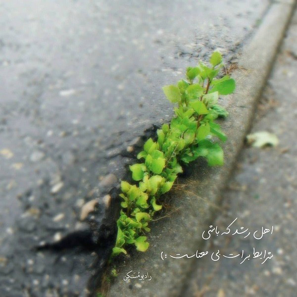 عکس نوشته خاص عکس نوشته اخلاقی عکس نوشته های زیبا و جدید عکس نوشته های پر مفهوم کوتاه عکس نوشته های زیبا با کیفیت عالی عکس نوشته زیبا عکس نوشته زیبا برای وضعیت 