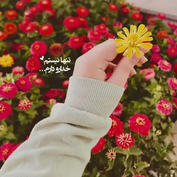 عکس نوشته