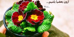 عکس نوشته های پر مفهوم کوتاه + عکس نوشته زیبا و اخلاقی