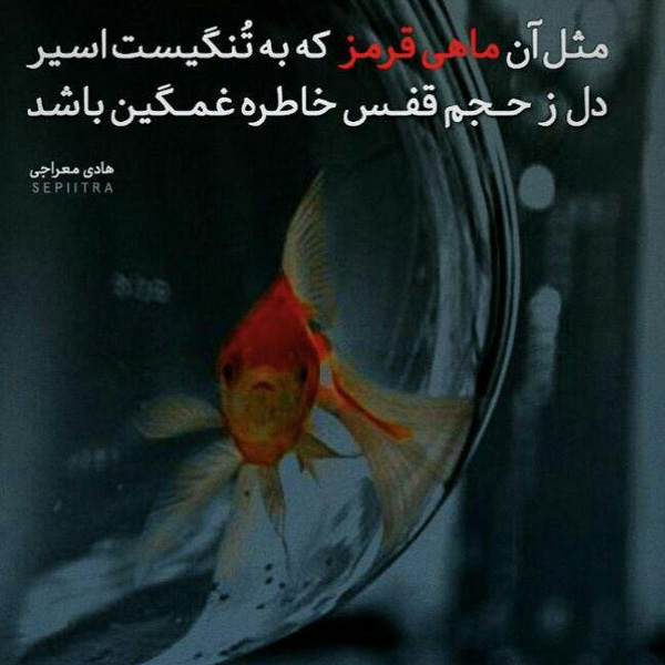 عکس نوشته خاص عکس نوشته اخلاقی عکس نوشته های زیبا و جدید عکس نوشته های پر مفهوم کوتاه عکس نوشته های زیبا با کیفیت عالی عکس نوشته زیبا عکس نوشته زیبا برای وضعیت 