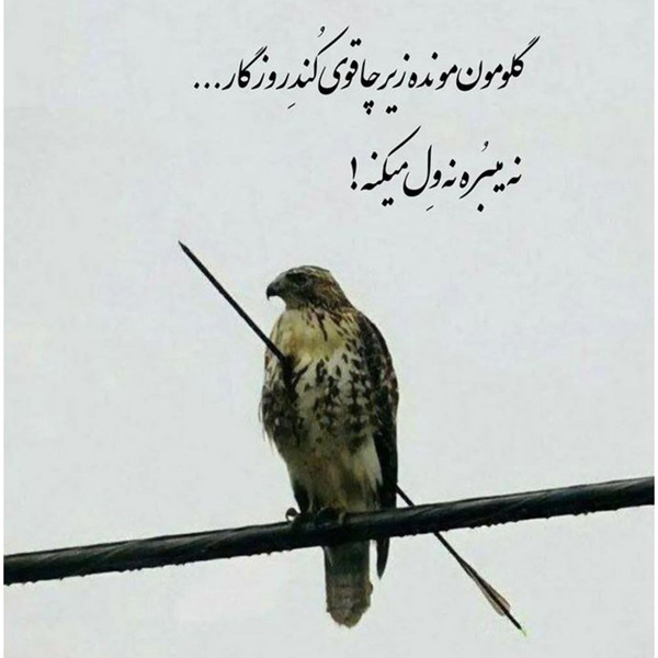 عکس نوشته خاص عکس نوشته اخلاقی عکس نوشته های زیبا و جدید عکس نوشته های پر مفهوم کوتاه عکس نوشته های زیبا با کیفیت عالی عکس نوشته زیبا عکس نوشته زیبا برای وضعیت 