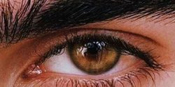 عکس پروفایل چشم رنگی و قهوه ای + عکس چشم زیبای دختر