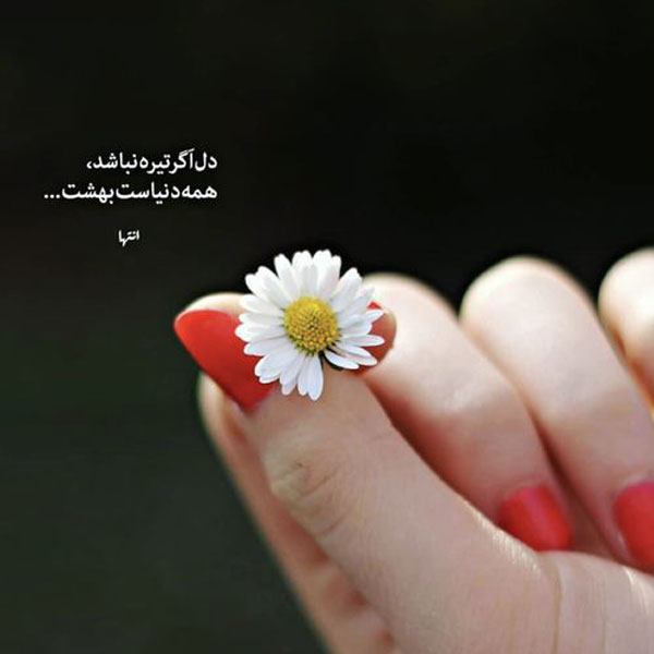 عکس نوشته خاص عکس نوشته های مفهومی و سنگین عکس نوشته های زیبا با کیفیت عالی تصاویر زیبا با متن های آموزنده عکس نوشته حال خوب عکس نوشته عاشقانه عکس نوشته زیبا برای پروفایل عکس نوشته اخلاقی