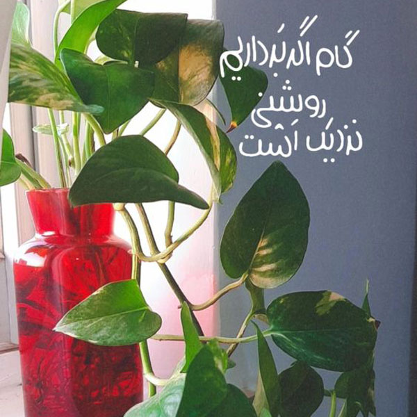 عکس نوشته های مفهومی و سنگین عکس نوشته های زیبا و مفهومی عکس نوشته های زیبا و جدید عکس نوشته خاص عکس نوشته زیبا عکس نوشته های زیبا با کیفیت عالی عکس نوشته جدید ۱۴۰۲ عکس نوشته حال خوب