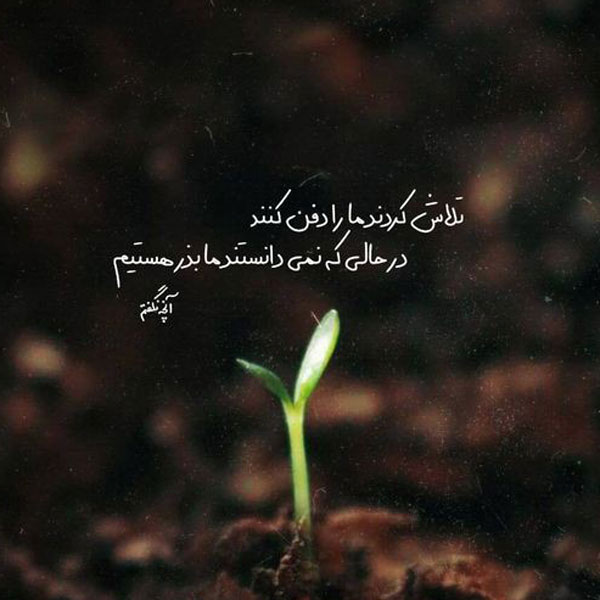 عکس نوشته های مفهومی و سنگین عکس نوشته های زیبا و مفهومی عکس نوشته های زیبا و جدید عکس نوشته خاص عکس نوشته زیبا عکس نوشته های زیبا با کیفیت عالی عکس نوشته جدید ۱۴۰۲ عکس نوشته حال خوب