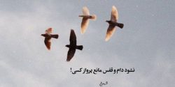عکس نوشته جدید و مفهومی 1402 برای پروفایل + عکس نوشته خاص