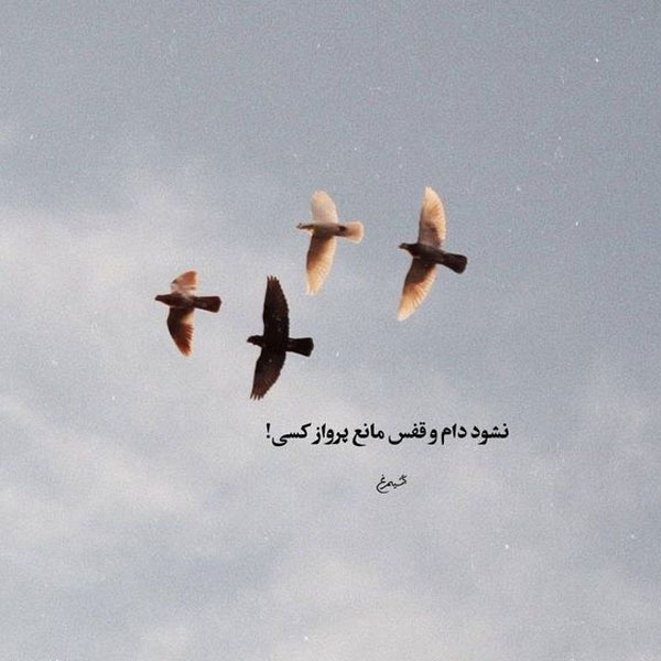 عکس نوشته های مفهومی و سنگین عکس نوشته های زیبا و مفهومی عکس نوشته های زیبا و جدید عکس نوشته خاص عکس نوشته زیبا عکس نوشته های زیبا با کیفیت عالی عکس نوشته جدید ۱۴۰۲ عکس نوشته حال خوب