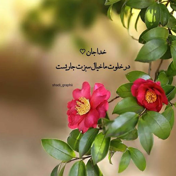 عکس نوشته های مفهومی و سنگین عکس نوشته های زیبا و مفهومی عکس نوشته های زیبا و جدید عکس نوشته خاص عکس نوشته زیبا عکس نوشته های زیبا با کیفیت عالی عکس نوشته جدید ۱۴۰۲ عکس نوشته حال خوب