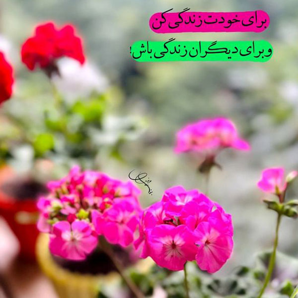 تصاویر زیبا با متن های آموزنده عکس نوشته های زیبا و مفهومی عکس های با معنی و زیبا عکس نوشته اخلاقی پروفایل آموزنده زندگی عکس نوشته آموزنده برای استوری پروفایل آموزنده از بزرگان عکس پروفایل معنی دار سنگین