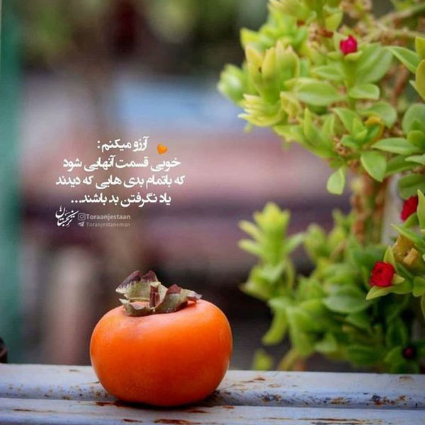 تصاویر زیبا با متن های آموزنده عکس نوشته های زیبا و مفهومی عکس های با معنی و زیبا عکس نوشته اخلاقی پروفایل آموزنده زندگی عکس نوشته آموزنده برای استوری پروفایل آموزنده از بزرگان عکس پروفایل معنی دار سنگین