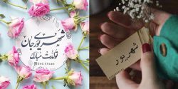 عکس پروفایل شهریور ماهی + عکس تولد شهریوری خودم