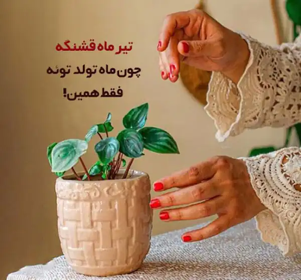 عکس پروفایل تیر ماهی