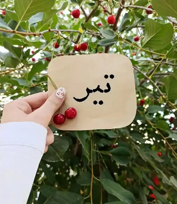 عکس پروفایل تیر ماهی