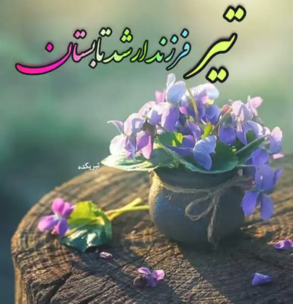 عکس پروفایل تیر ماهی