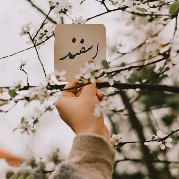 عکس پروفایل اسفند ماهی