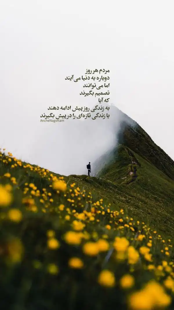 عکس نوشته جذاب