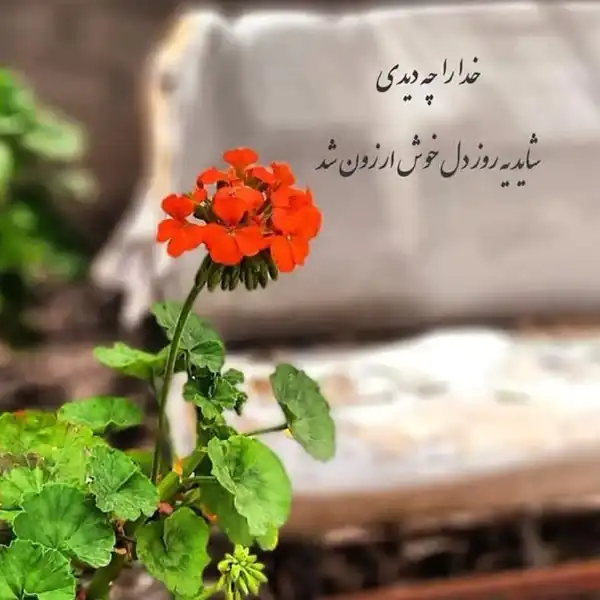عکس نوشته جذاب