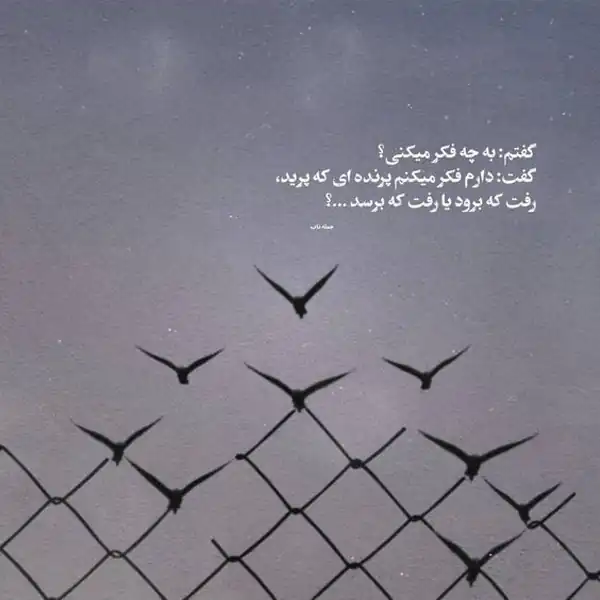 عکس نوشته جذاب