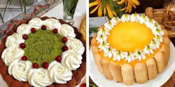 تزیین کیک با خامه کم در خانه برای خانوم های خوش سلیقه