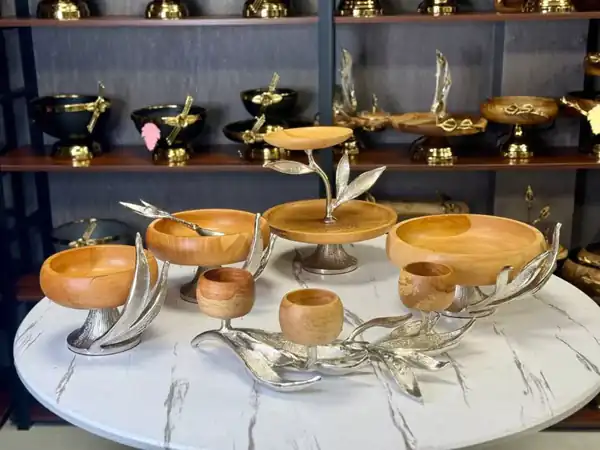 مدل ظرف پذیرایی