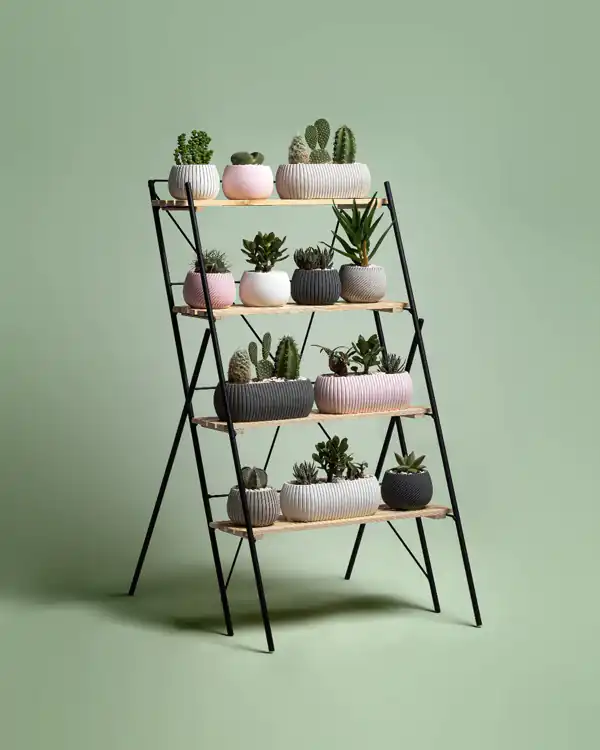 مدل استند گل شیک