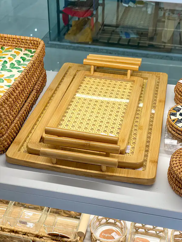 مدل سینی