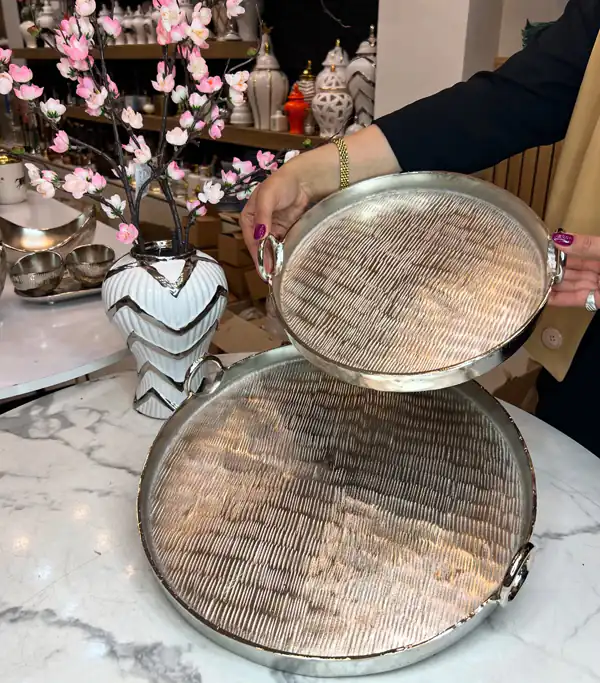 مدل سینی