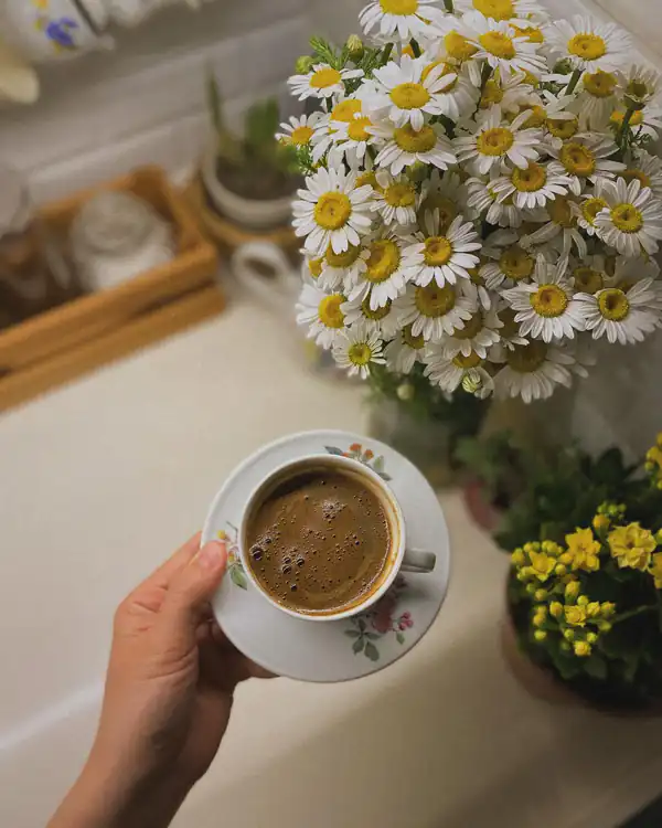 عکس پروفایل شیک دخترانه
