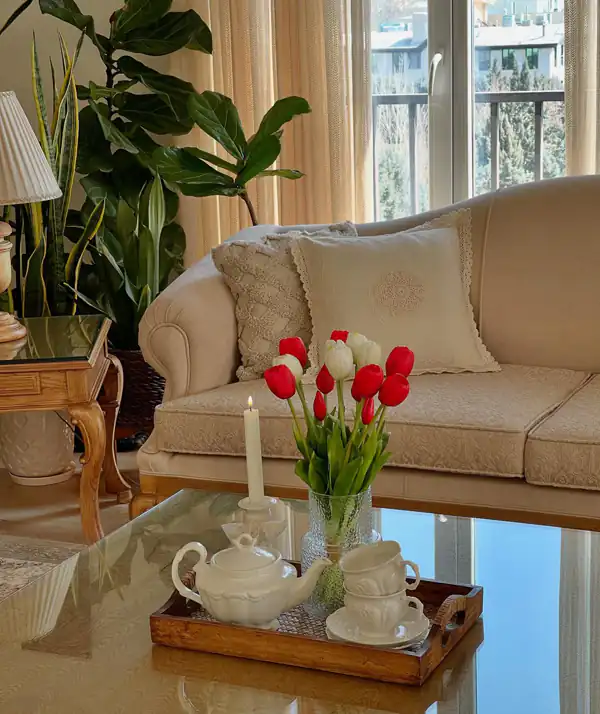 چیدمان روی میز جلو مبلی
