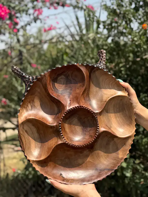 جدیدترین مدل اردو خوری