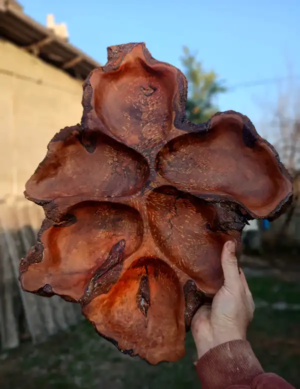 جدیدترین مدل اردو خوری