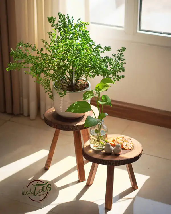 مدل پایه گلدان چوبی