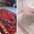 مدل فرش جدید شیک برای پذیرایی و آشپزخانه