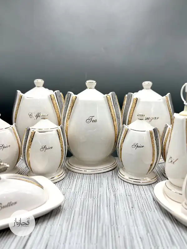 چند مدل پاسماوری