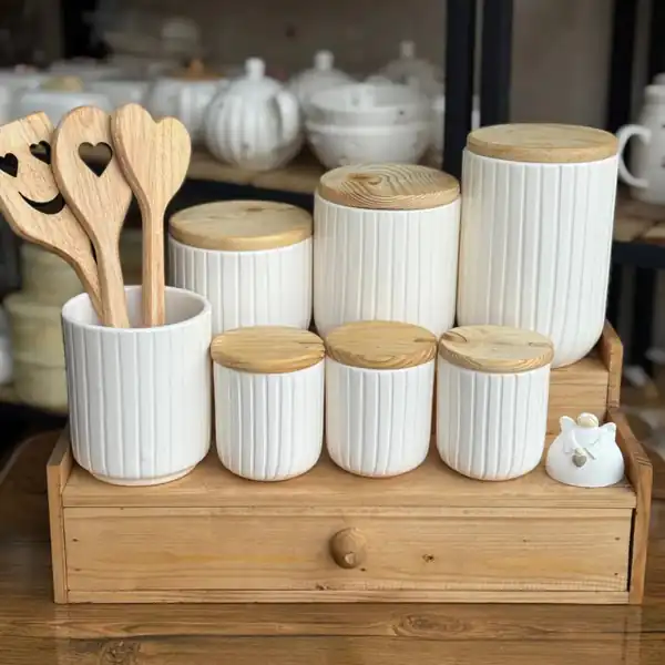 چند مدل پاسماوری
