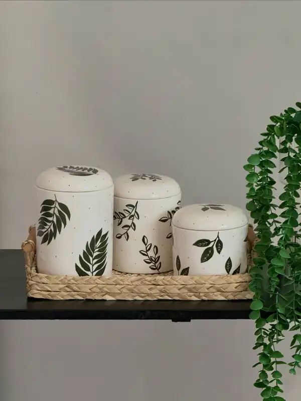 چند مدل پاسماوری