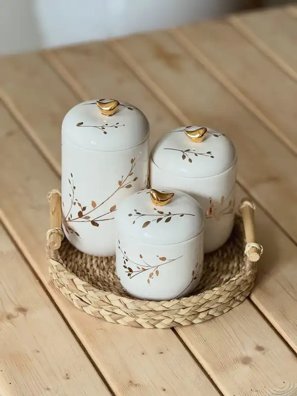 چند مدل پاسماوری
